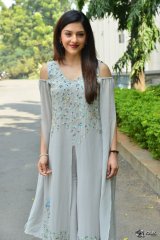 Mehreen Pirzada at Jawaan Movie Pre Release Press Meet